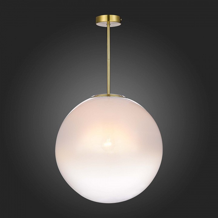 Светильник на штанге ST-Luce Cassius SL1190.222.01