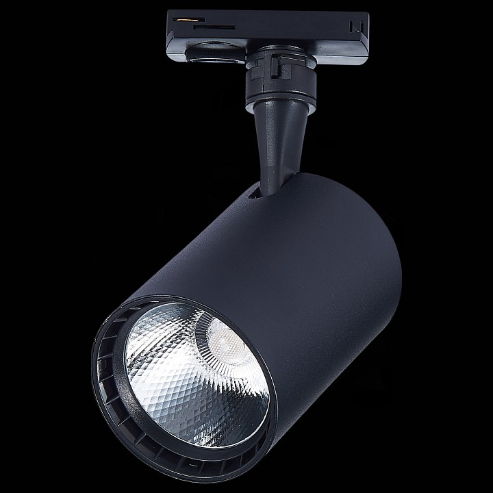 Светильник на штанге ST-Luce Cami ST351.436.20.36