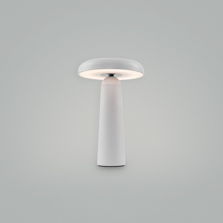 Настольная лампа декоративная Freya Mushroom FR6109TL-L4W