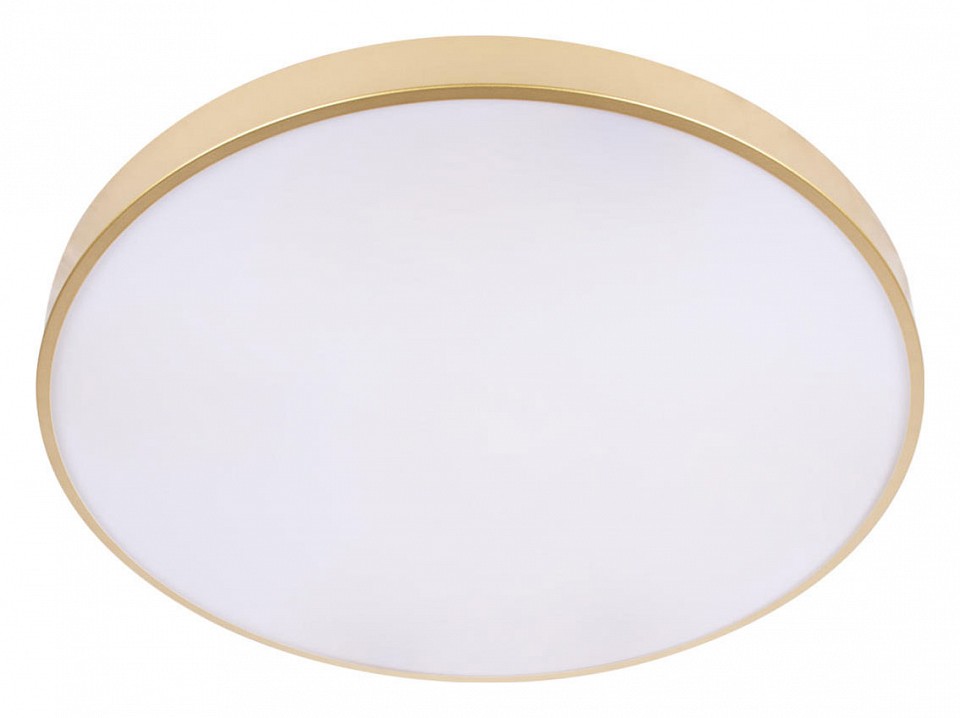 Накладной светильник Loft it Flims 10228/B