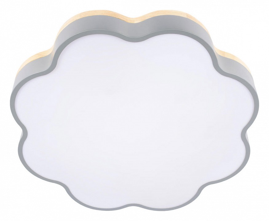 Накладной светильник Loft it Axel 10225/36 Grey