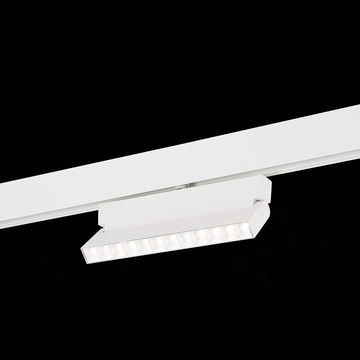 Светильник на штанге ST-Luce Andre ST362.546.12