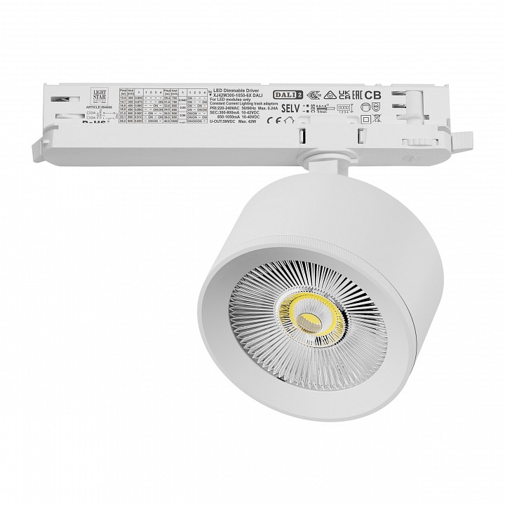 Светильник на штанге Lightstar Alta Pro A5536DALI