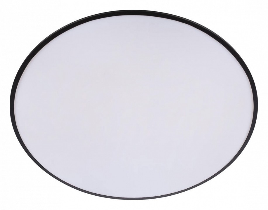 Накладной светильник Loft it Brim 10226 Black