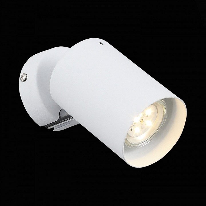 Спот ST-Luce Fanale SL597.501.01
