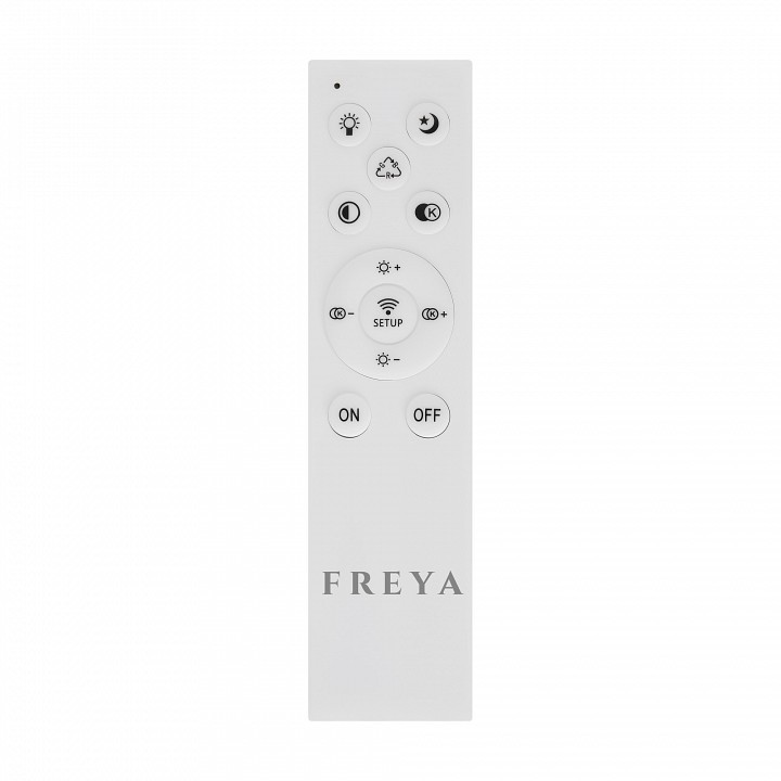 Накладной светильник Freya  FR10028CL-L80B