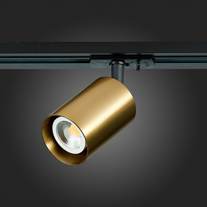 Светильник на штанге ST-Luce ST302 ST302.206.01