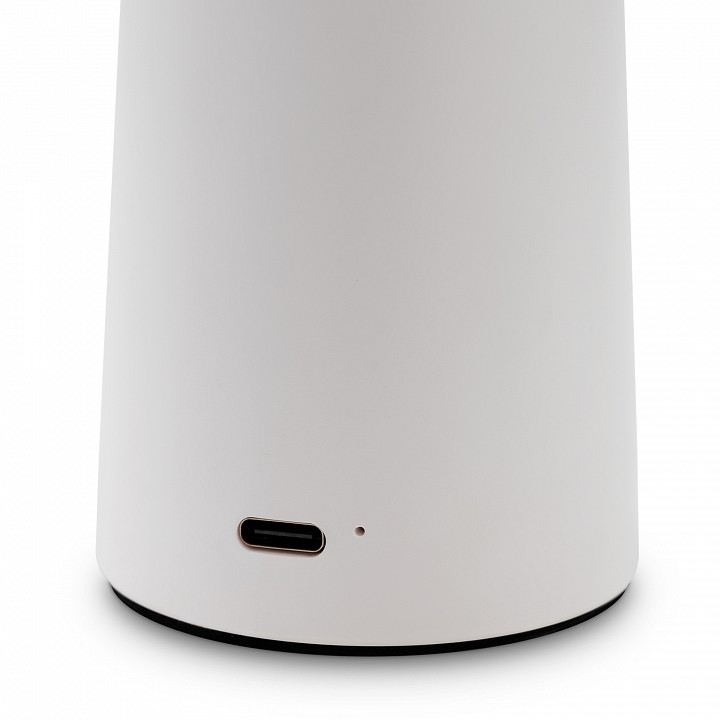 Настольная лампа декоративная Freya Mushroom FR6109TL-L4W