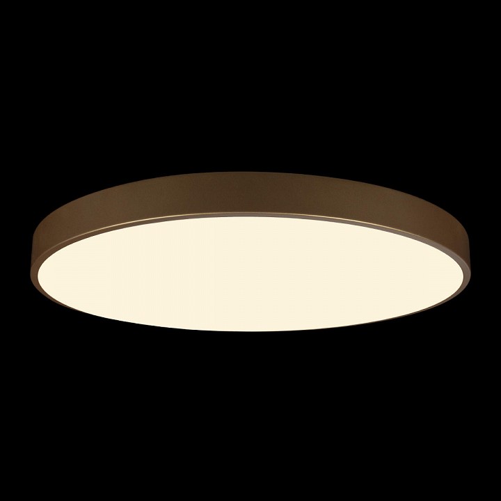 Накладной светильник Loft it Flims 10228/B